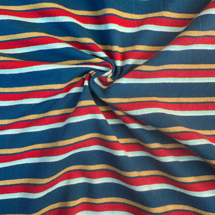 Cotton Jersey Stripe · blue/yellow